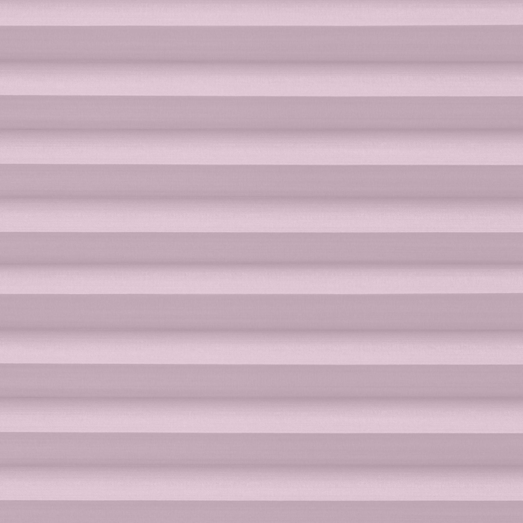 Evissa Lilac 